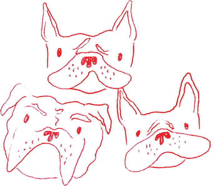 line drawing of three dog heads