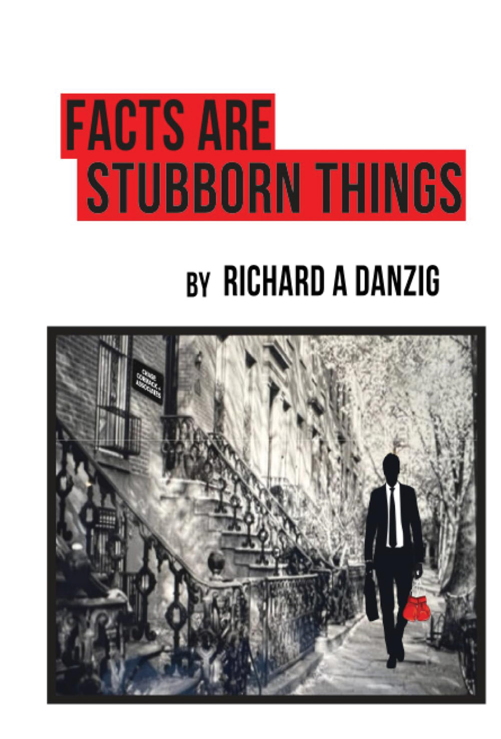 Front book cover of Facts Are Stubborn Things by Richard A Danzig while underneath the author byline is a small black and white border photo of a sidewalk plus buildings as a silhouette man in a suit and tie walks holding a pair of boxing gloves